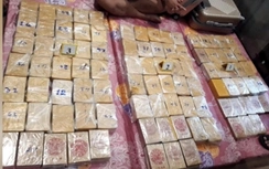 Công an TP.HCM triệt phá vụ vận chuyển 184 bánh ma túy