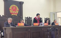 Tham gia tổ chức khủng bố, nữ bị cáo lĩnh 12 năm tù