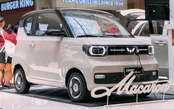 Xe điện Wuling bán tại Philippines có giá ngang Việt Nam