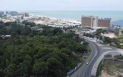 Bà Rịa - Vũng Tàu chuyển đổi hơn 43ha đất rừng làm 3 dự án giao thông lớn