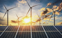 Cách nào để được cấp tín chỉ carbon?