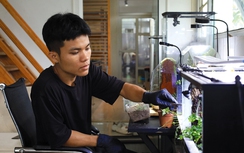 Kiếm tiền tỷ từ ý tưởng đưa cả cánh rừng… vào chậu kính