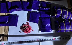 Bắt người đàn ông vận chuyển 12.000 viên ma túy qua biên giới