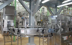 Hợp tác nâng cao năng lực sản xuất xanh, hướng đến phát triển bền vững