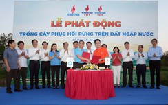 Petrovietnam phát động trồng cây phục hồi rừng trên đất ngập nước