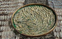 Về Cà Mau xem làm tôm lụi giá hơn 1 triệu đồng/kg