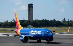 Nhiều hãng hàng không lớn của Mỹ báo lỗ nặng