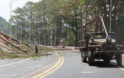 Lâm Đồng sẽ lắp đặt hệ thống camera giám sát tuyến đèo Prenn