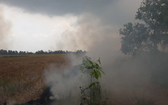 Người đàn ông tử vong thương tâm khi đi đốt rơm ngoài ruộng