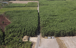 Khu tái định cư cao tốc Biên Hòa - Vũng Tàu vẫn vướng mặt bằng