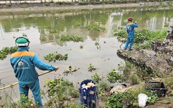 Hải Dương: Hàng chục tấn cá chết bất thường, nổi trắng ven sông