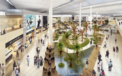 Đấu thầu rộng rãi chọn nhà đầu tư kinh doanh suất ăn hàng không tại sân bay Long Thành