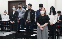 Nữ Chủ tịch Vimedimex và nhiều cựu cán bộ ở Hà Nội hầu tòa