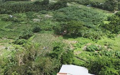 Cận cảnh bãi rác khổng lồ chắn cao tốc Cần Thơ - Cà Mau sắp được di dời