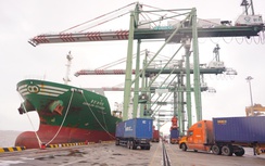 Viconship đầu tư lớn vào cảng biển, muốn "thâu tóm" Cảng Nam Hải Đình Vũ