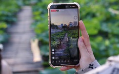 Sen hồ Tây nở sớm nhưng ế ẩm, các chủ vườn livestream mời khách