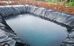 Rơi xuống hố nước tưới sầu riêng, bé 3 tuổi tử vong