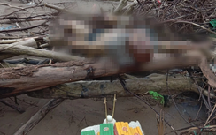 Phát hiện thi thể người đàn ông trên bãi biển Cồn Vành