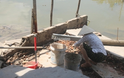 Làm rõ nguyên nhân sạt lở khiến 34 căn nhà ở Bạc Liêu bị ảnh hưởng