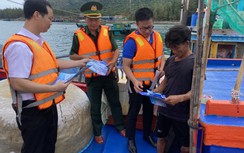 Thanh niên hàng hải "về nguồn" để tiếp bước lịch sử