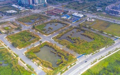 Đề xuất cấm đấu giá đất 5 năm nếu tự ý bỏ cọc