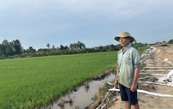 Làm rõ nguyên nhân thi công cao tốc Hậu Giang - Cà Mau làm ảnh hưởng lúa của dân