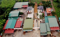 Hải Dương: Sẽ xử lý nghiêm vi phạm trên đất rừng