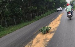 Bản tin TNGT 29/5: Dầu nhớt tràn trên đường, nhiều phương tiện trượt ngã