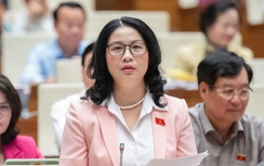 ĐBQH đánh giá cao tinh thần "làm ngày không đủ, tranh thủ làm đêm" trong xây dựng hạ tầng