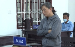 Nữ nhân viên công ty viễn thông lừa đảo 2,1 tỷ đồng để trả nợ