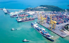 Đề xuất thí điểm khu thương mại tự do tại Đà Nẵng