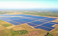 Xuân Thiện Group: Bước lùi lợi nhuận của hệ sinh thái năng lượng tái tạo tỷ USD 