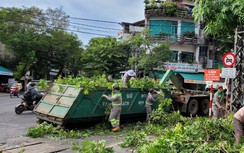 Bộ Công an yêu cầu Quảng Ngãi cung cấp tài liệu các dự án trồng, chăm sóc cây xanh