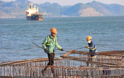 Tới 2025, Lạch Huyện có thêm 4 bến cảng mới