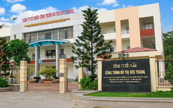 Công ty Cây xanh Công Minh tiềm lực cỡ nào?