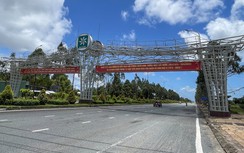 Thêm hai tỉnh miền Tây bị yêu cầu cung cấp hồ sơ dự án trồng cây xanh