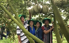 Phân bón Phú Mỹ: Bí quyết cho cây dưa và sầu riêng ở miền Trung - Tây Nguyên