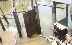 Bạc Liêu cần 19.257 tỷ thực hiện 50 dự án, công trình ứng phó thiên tai