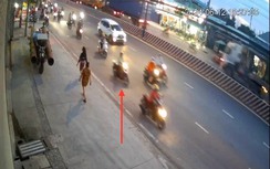 Truy tìm xe máy Vision liên quan đến vụ tai nạn làm nam nhân viên điều dưỡng tử vong