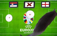 Mèo tiên tri dự đoán kết quả trận Serbia vs Anh: Chênh lệch đẳng cấp