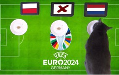 Mèo tiên tri dự đoán kết quả trận Ba Lan vs Hà Lan: Khó có bất ngờ