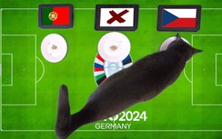 Mèo tiên tri dự đoán kết quả trận Bồ Đào Nha vs CH Séc: Cơn địa chấn tại EURO 2024?