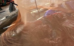 Xác định nguyên nhân 3 người trong cùng gia đình ở An Giang tử vong