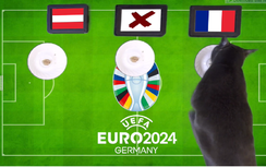 Mèo tiên tri dự đoán kết quả Áo vs Pháp: Sức mạnh vượt trội