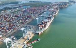 Cước vận tải biển tăng, doanh nghiệp “ngồi trên lửa”