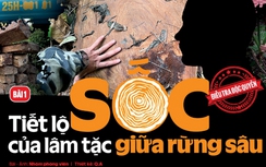 Bóng dáng AI sau phóng sự điều tra đạt giải
