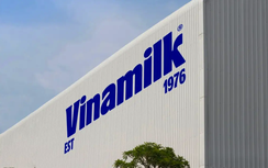 Vinamilk - đại diện duy nhất từ ngành sữa Việt Nam trong danh sách Fortune 500 Đông Nam Á