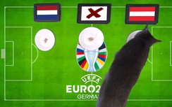 Mèo tiên tri dự đoán kết quả Hà Lan vs Áo: Thổi bay “cơn lốc”?