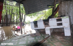 Sạt lở tiếp diễn ở Bạc Liêu: "Nghe tiếng chuột chạy là hết hồn thức giấc"