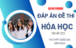Đáp án đề thi môn Hóa học mã đề 222 tốt nghiệp THPT 2024